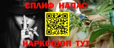 прущие грибы Канаш