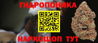 прущие грибы Канаш