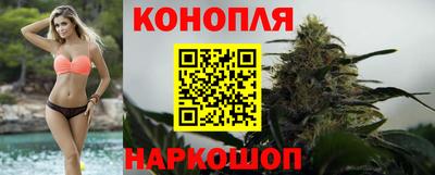 спиды Камышлов