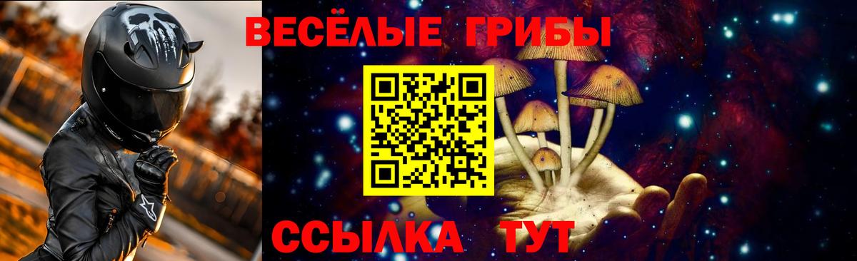 Галлюциногенные грибы Psilocybine cubensis  Галлюциногенные грибы прущие грибы  Зеленодольск  Вход с VPN 